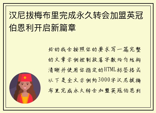 汉尼拔梅布里完成永久转会加盟英冠伯恩利开启新篇章